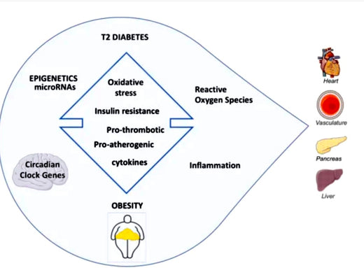 Ozempic, GLP-1 Receptor Analogs, and HP-EVOO - Blog # 103