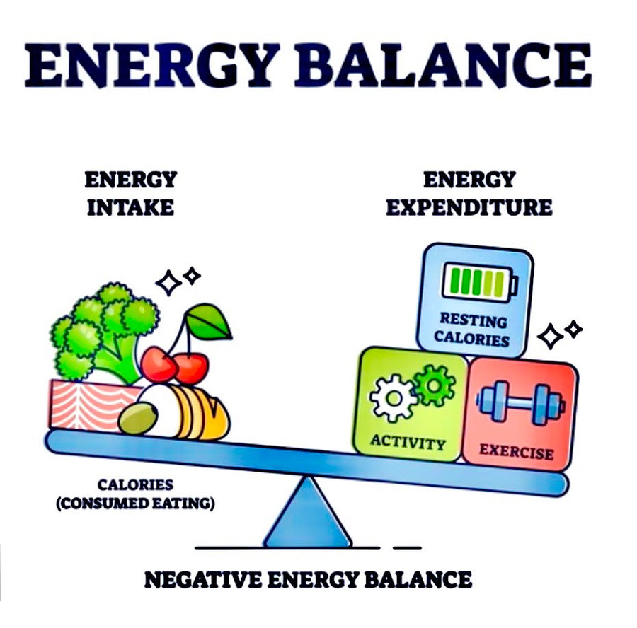 Food Is Information - Do Calories Matter? - # HP-EVOO - Blog # 105